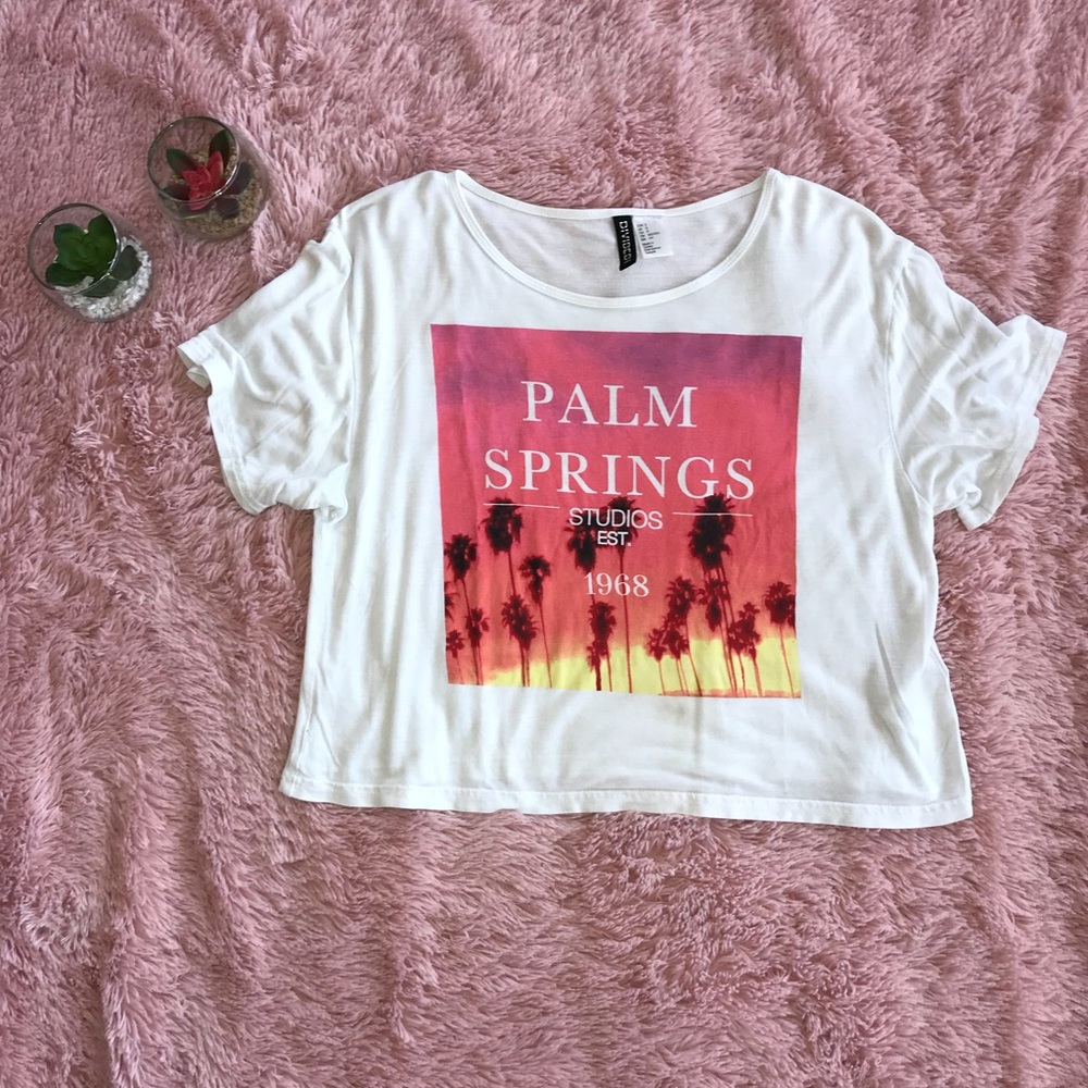 palm springs crop top